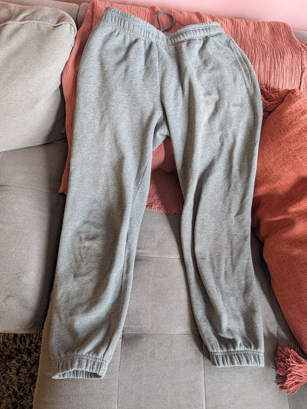 Aritzia TNA Cozy fleece Joggers